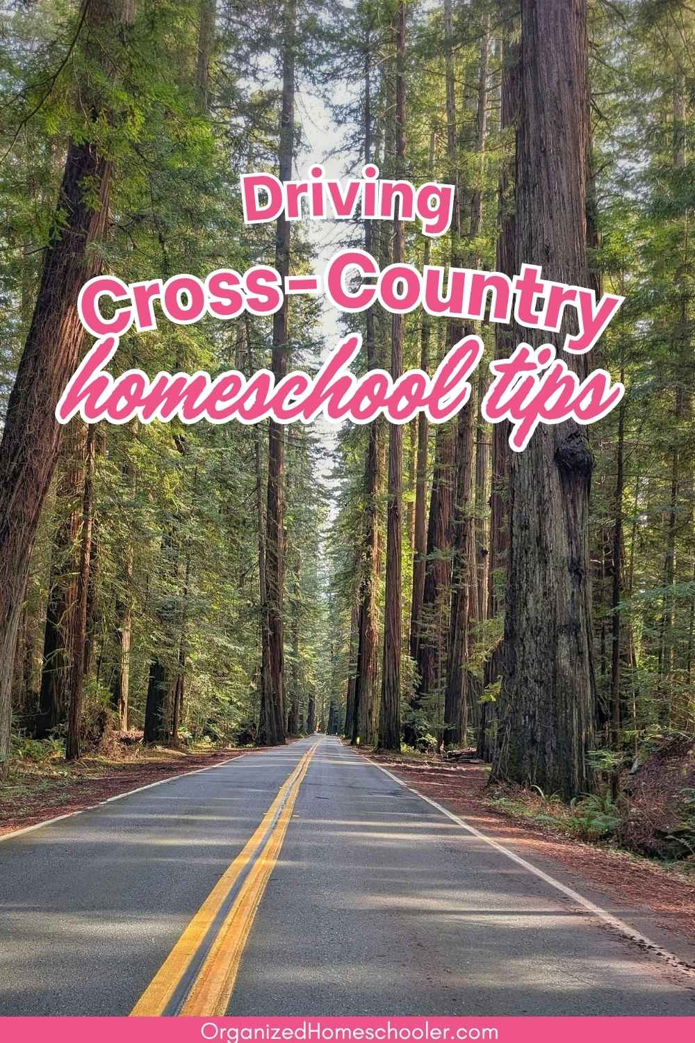 driving cross-country homeschool kids