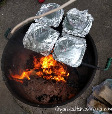 These beginner camping tips are sure to help plan a smooth camping trip. Camping is a great addition to homeschool field trips.