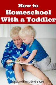 Learn how to homeschool with a toddler at home.