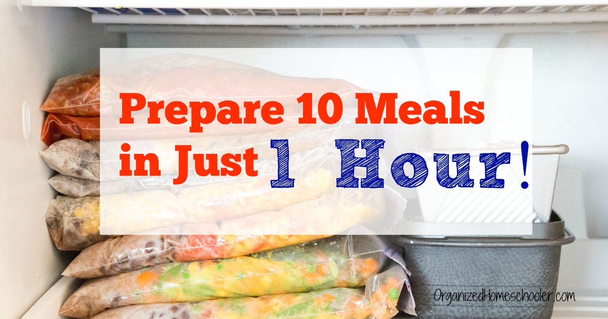 Frozen food in a freezer, prepared the easy way to stock the freezer