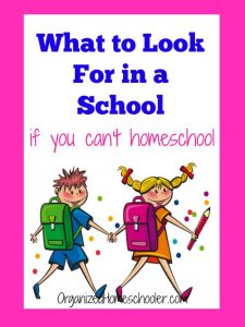Homeschooling is not right for every family, but all parents want to provide a great education. How do you know what to look for in a school? Find out the questions to ask on a school tour from a former classroom teacher turned homeschool mom. Find out what is important and what doesn't matter. #schoolchoice