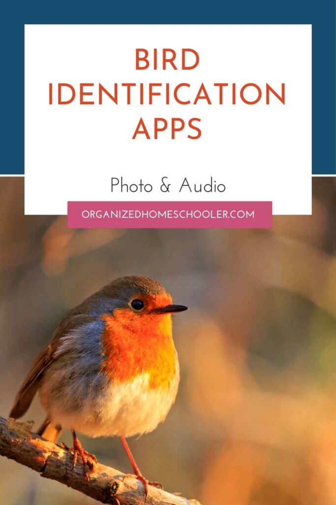 Bird identification apps photo & audio written above a small orange bird