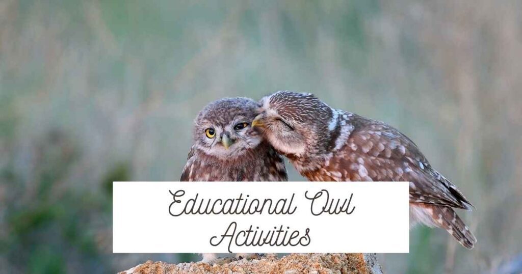 educational owl activities written in front of two owls