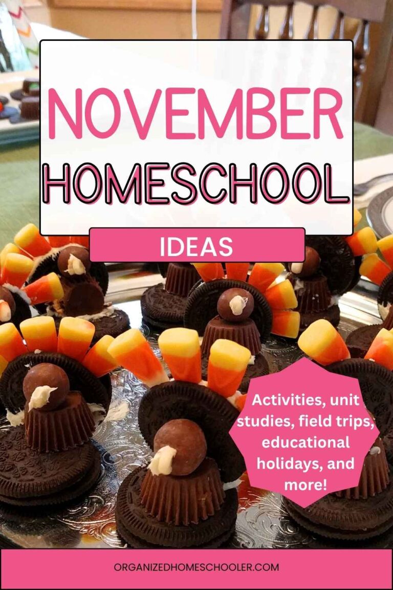 November homeschool ideas written above candy and cookie turkeys