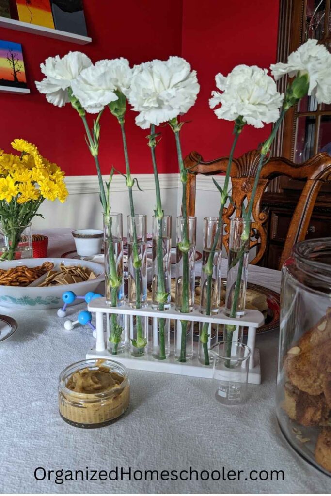 beaker and test tubes holding flowers during A Study in Charlotte book club