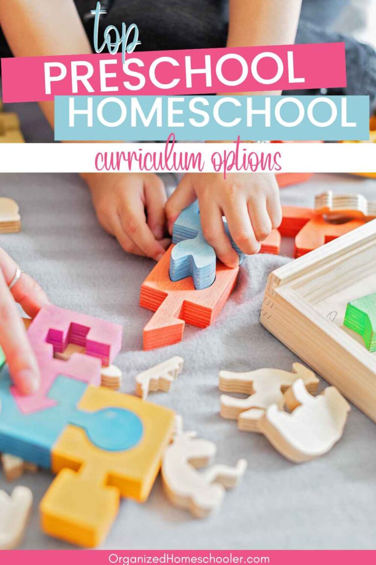Best Preschool Homeschool Curriculum Options for Balance ~ The