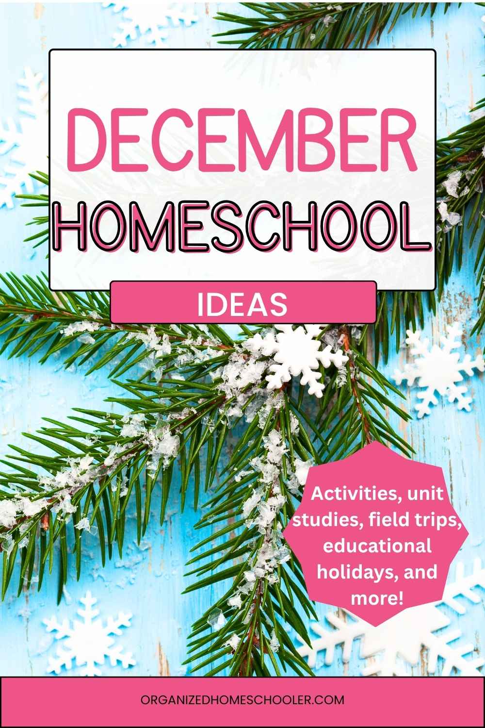 December homeschool ideas written above an evergreen branch